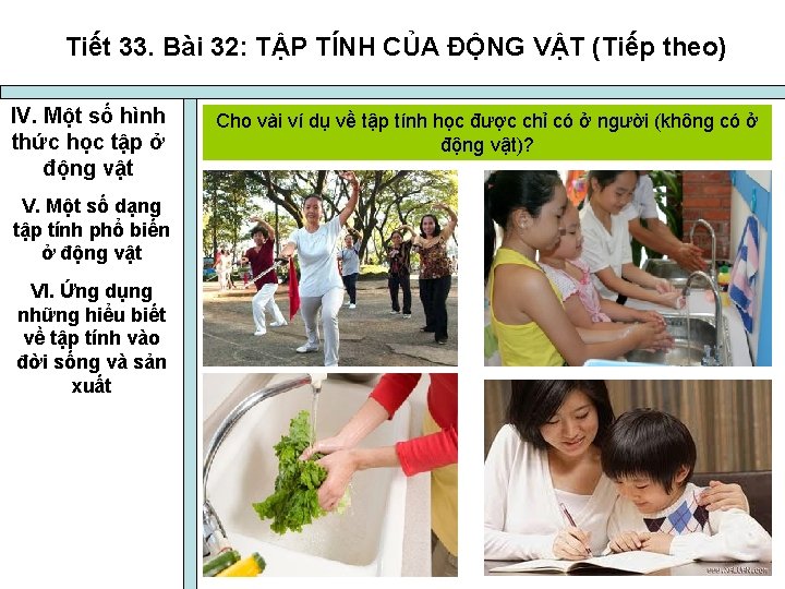 Tiết 33. Bài 32: TẬP TÍNH CỦA ĐỘNG VẬT (Tiếp theo) IV. Một số