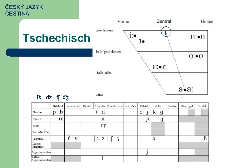 ČESKÝ JAZYK ČEŠTINA Tschechisch t s d z t ʃ d ʒ ɨ 