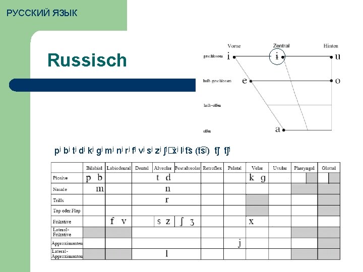 РУССКИЙ ЯЗЫК Russisch pj bj tj dj kj gj mj nj rj fj vj