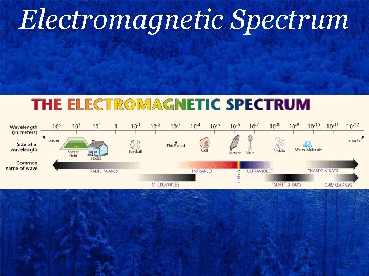 Electromagnetic Spectrum 