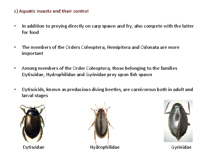 c) Aquatic insects and their control • In addition to preying directly on carp