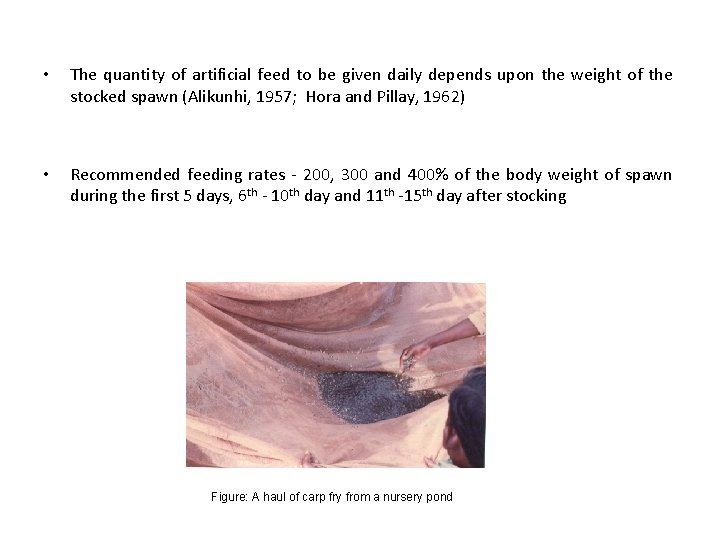 • The quantity of artificial feed to be given daily depends upon the • The quantity of artificial feed to be given daily depends upon the