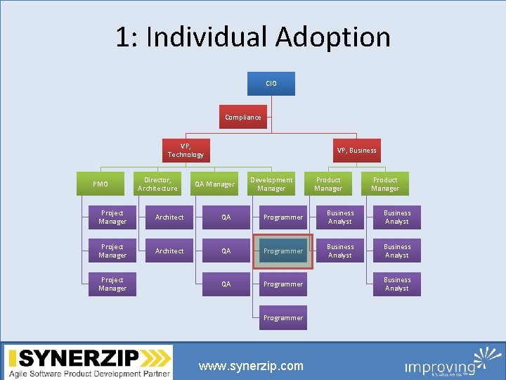 1: Individual Adoption CIO Compliance VP, Technology PMO Director, Architecture VP, Business QA Manager