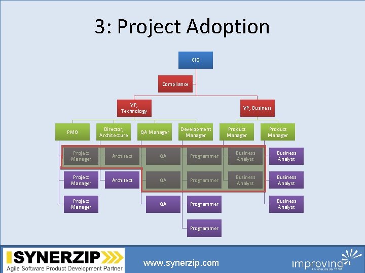 3: Project Adoption CIO Compliance VP, Technology PMO Director, Architecture VP, Business QA Manager