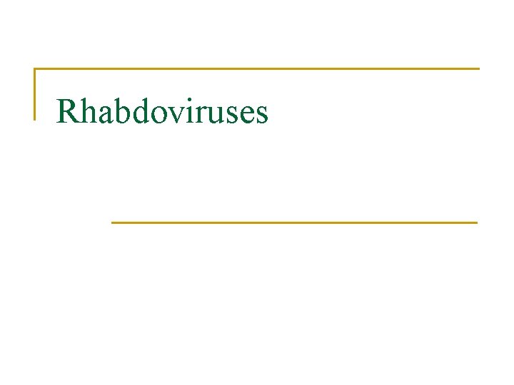 Rhabdoviruses 