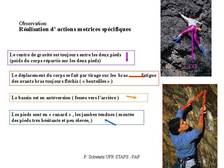 Observation Réalisation d’ actions motrices spécifiques Le centre de gravité est toujours entre les Observation Réalisation d’ actions motrices spécifiques Le centre de gravité est toujours entre les