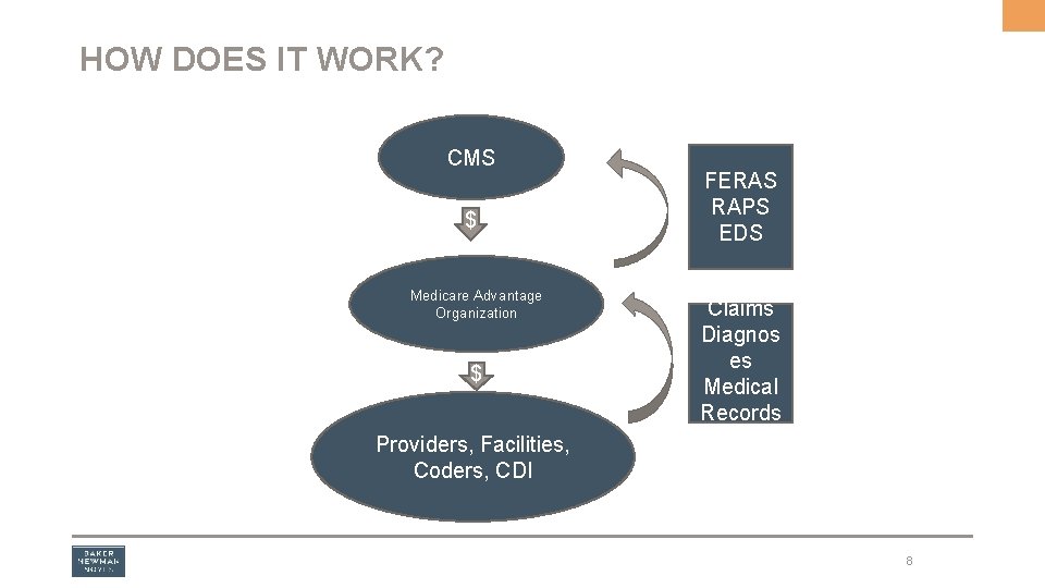 HOW DOES IT WORK? CMS $ Medicare Advantage Organization $ FERAS RAPS EDS Claims