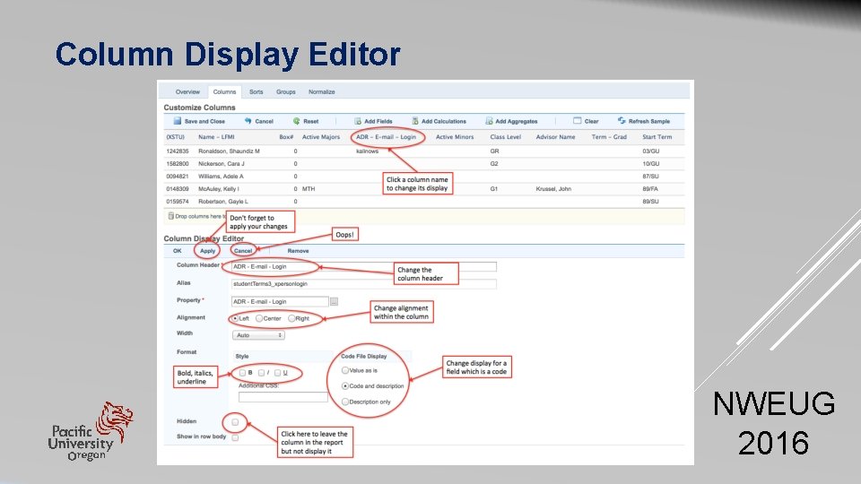 Column Display Editor NWEUG 2016 