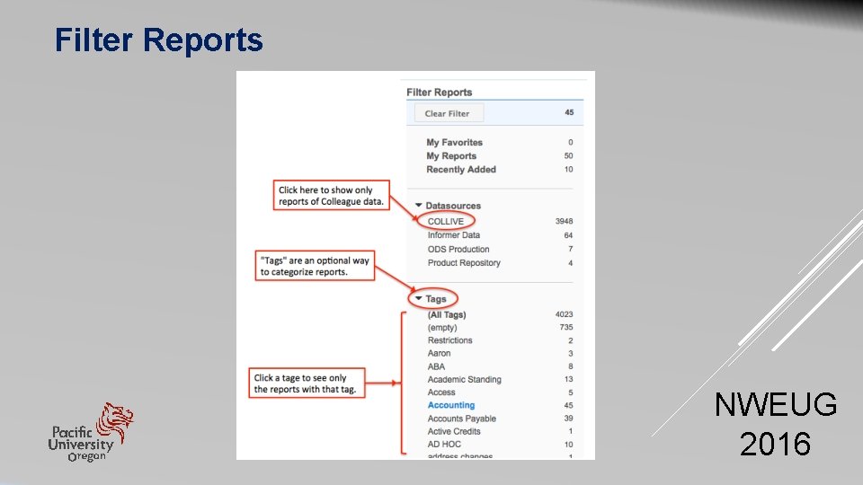 Filter Reports NWEUG 2016 