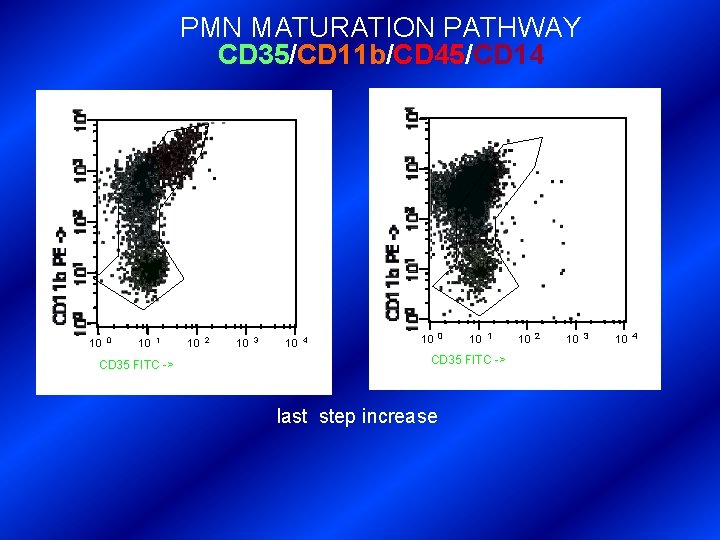 PMN MATURATION PATHWAY CD 35/CD 11 b/CD 45/CD 14 10 0 10 1 CD