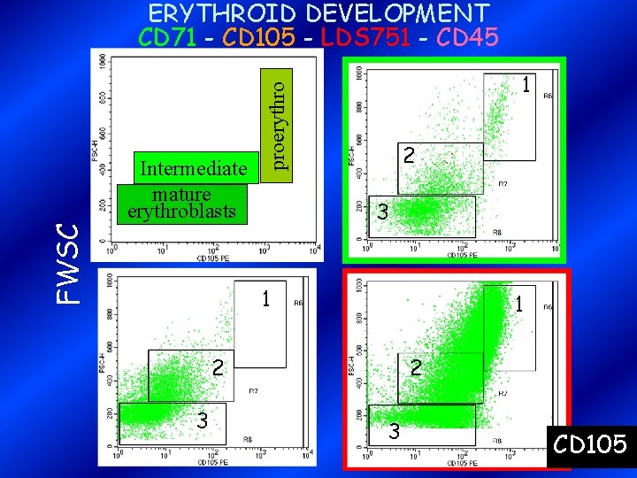ERYTHROID DEVELOPMENT CD 71 - CD 105 - LDS 751 - CD 45 FWSC