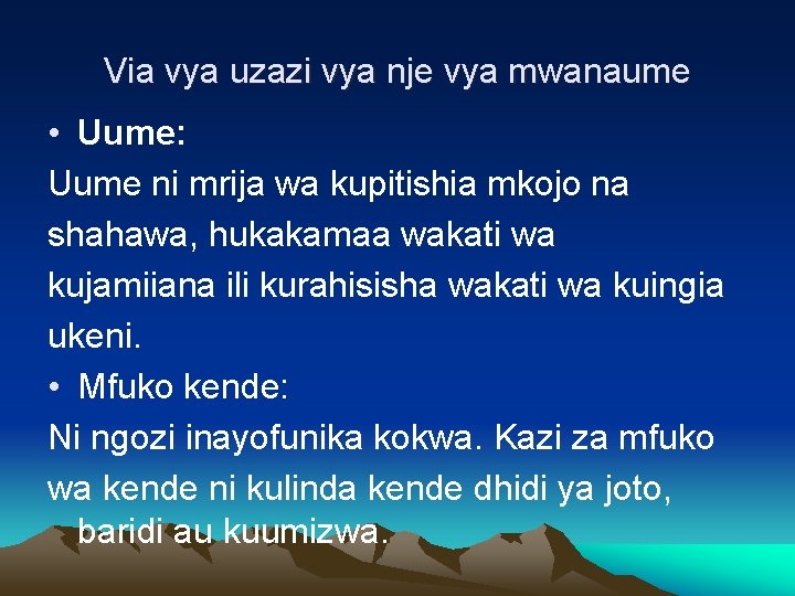 Via vya uzazi vya nje vya mwanaume • Uume: Uume ni mrija wa kupitishia