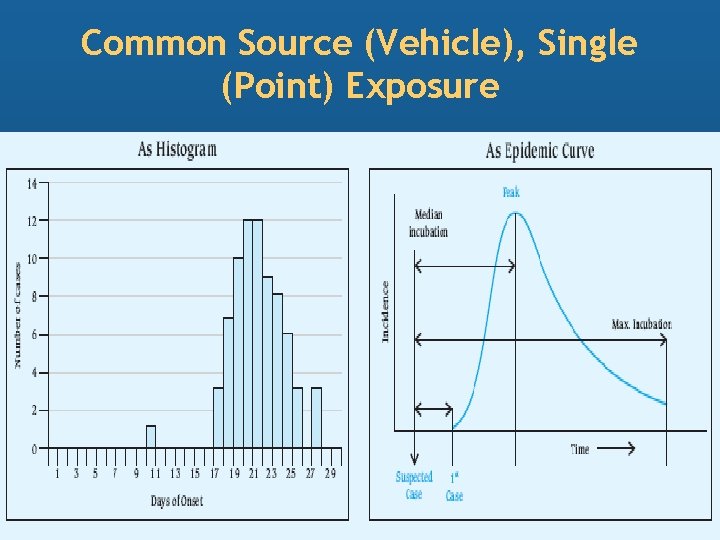 Common Source (Vehicle), Single (Point) Exposure 