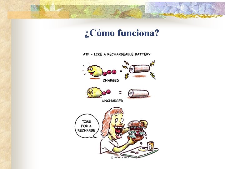 ¿Cómo funciona? ¿Cómo funciona?
