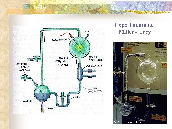 Experimento de Miller - Urey Experimento de Miller - Urey