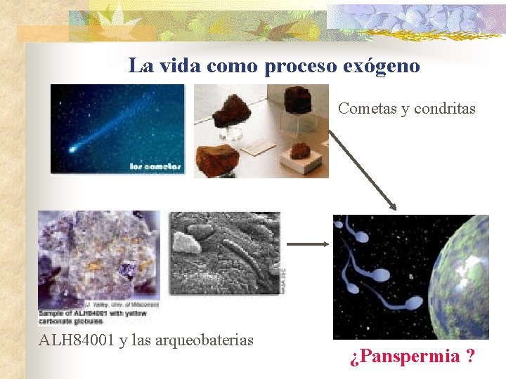 La vida como proceso exógeno Cometas y condritas ALH 84001 y las arqueobaterias ¿Panspermia La vida como proceso exógeno Cometas y condritas ALH 84001 y las arqueobaterias ¿Panspermia