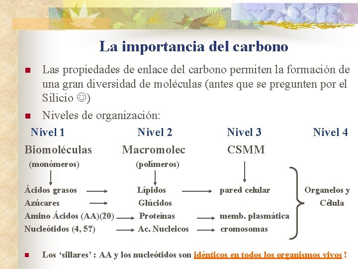 La importancia del carbono Las propiedades de enlace del carbono permiten la formación de La importancia del carbono Las propiedades de enlace del carbono permiten la formación de