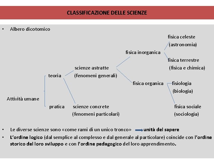 CLASSIFICAZIONE DELLE SCIENZE • Albero dicotomico fisica celeste (astronomia) fisica inorganica fisica terrestre scienze