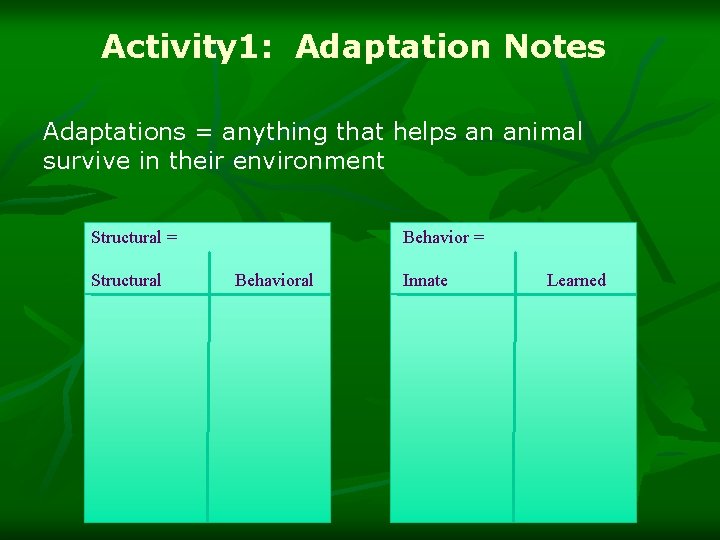 Activity 1: Adaptation Notes Adaptations = anything that helps an animal survive in their