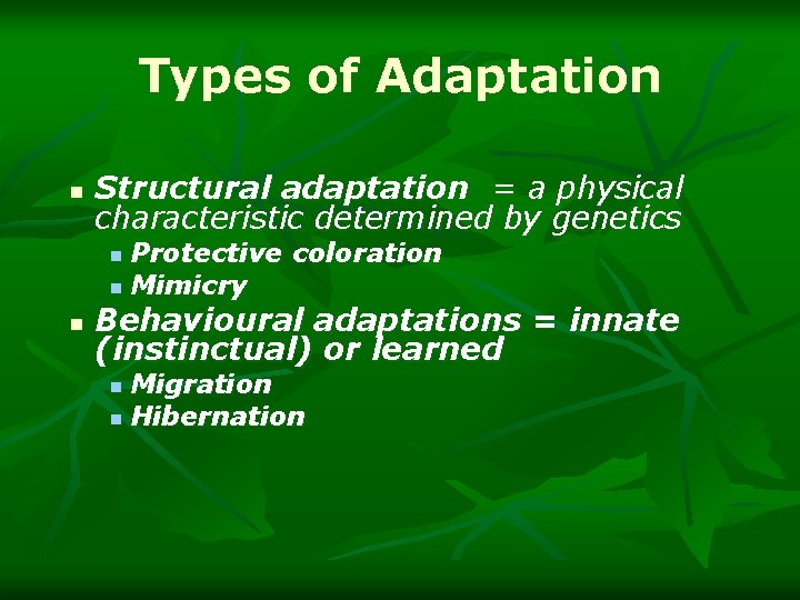 Types of Adaptation n Structural adaptation = a physical characteristic determined by genetics Protective
