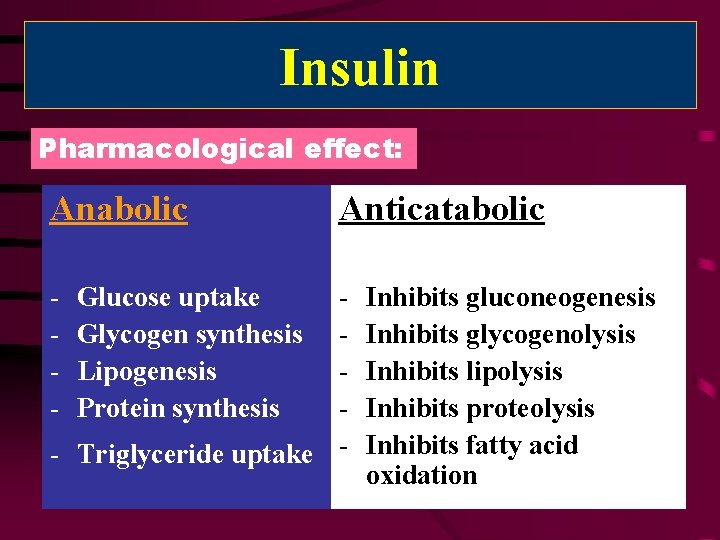 Insulin Pharmacological effect: Anabolic - Anticatabolic - Triglyceride uptake Glucose uptake Glycogen synthesis Lipogenesis