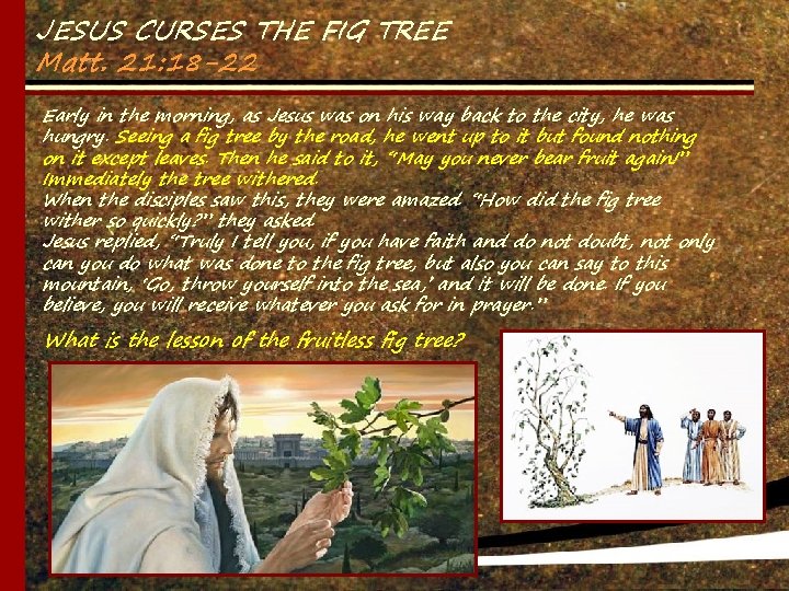 JESUS CURSES THE FIG TREE Matt. 21: 18 -22 Early in the morning, as