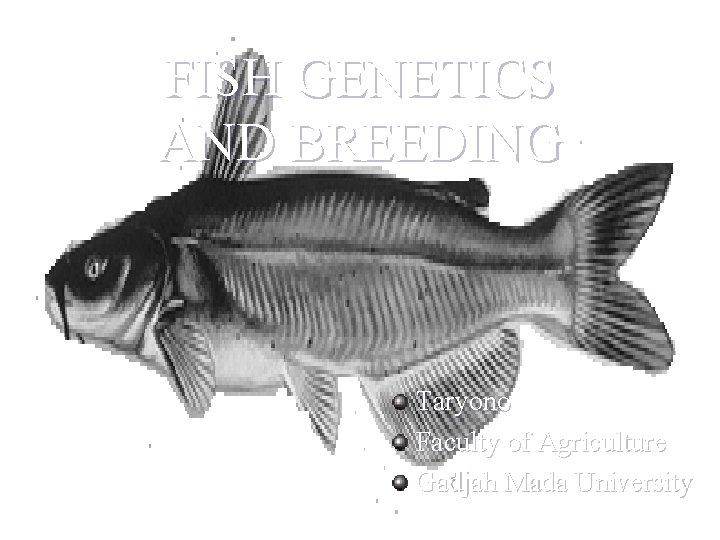 FISH GENETICS AND BREEDING Taryono Faculty of Agriculture Gadjah Mada University 