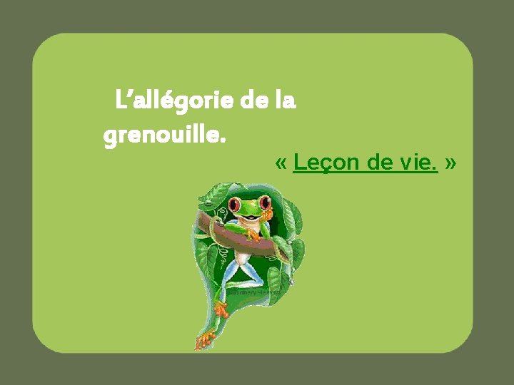 L’allégorie de la grenouille. « Leçon de vie. » 