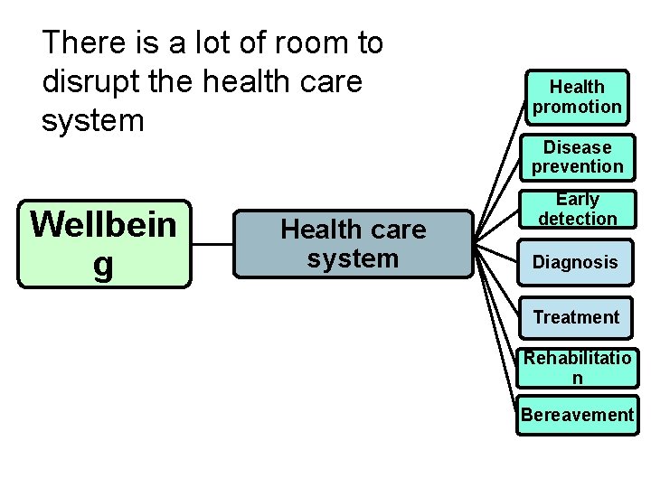 There is a lot of room to disrupt the health care system Wellbein g