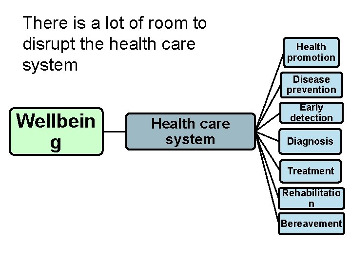 There is a lot of room to disrupt the health care system Wellbein g