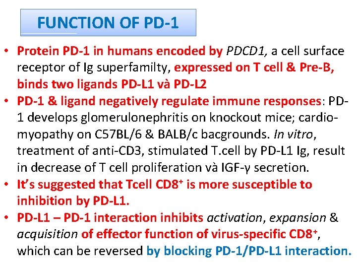 FUNCTION OF PD-1 • Protein PD-1 in humans encoded by PDCD 1, a cell