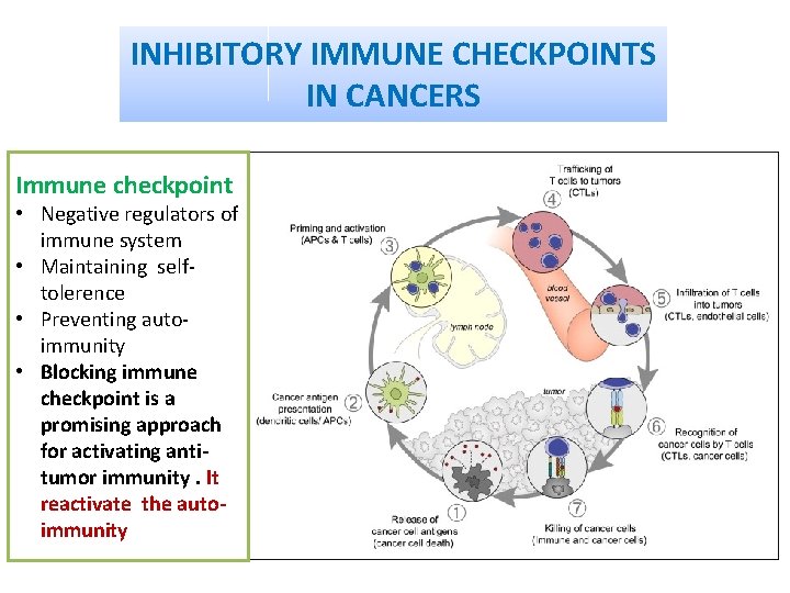 INHIBITORY IMMUNE CHECKPOINTS IN CANCERS Immune checkpoint • Negative regulators of immune system •