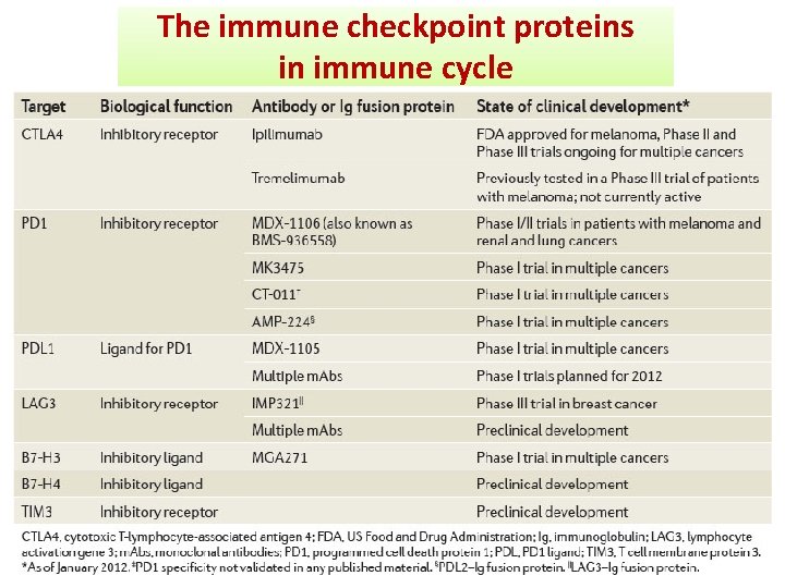 The immune checkpoint proteins in immune cycle 