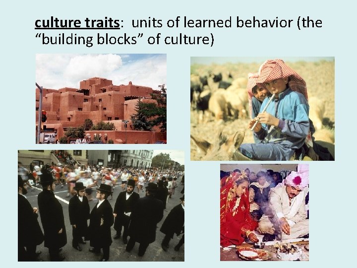 culture traits: units of learned behavior (the “building blocks” of culture) 