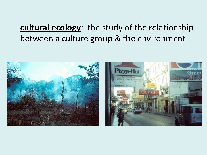 cultural ecology: the study of the relationship between a culture group & the environment