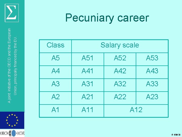 Union, principally financed by the EU. A joint initiative of the OECD and the