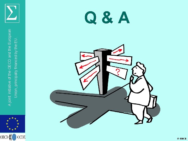 Union, principally financed by the EU. A joint initiative of the OECD and the