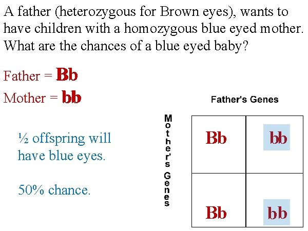 A father (heterozygous for Brown eyes), wants to have children with a homozygous blue