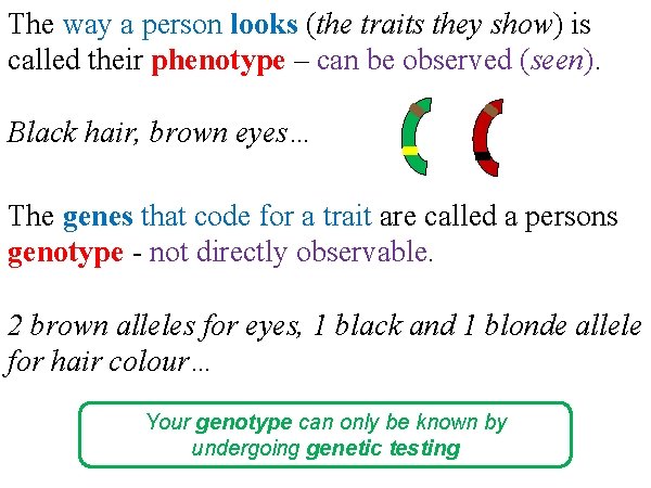 The way a person looks (the traits they show) is called their phenotype –