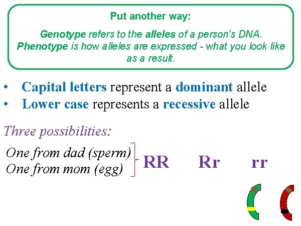 Put another way: Genotype refers to the alleles of a person's DNA. Phenotype is