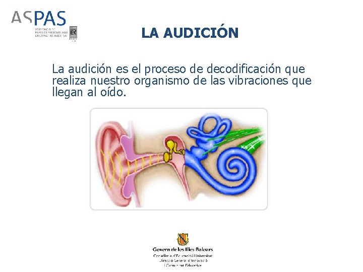 LA AUDICIÓN La audición es el proceso de decodificación que realiza nuestro organismo de