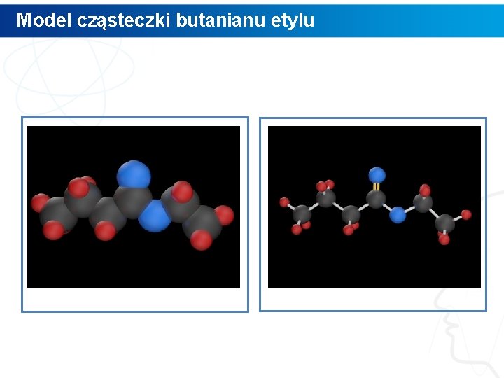 Model cząsteczki butanianu etylu 
