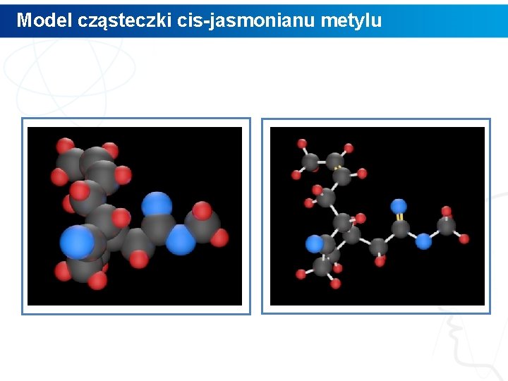 Model cząsteczki cis-jasmonianu metylu 