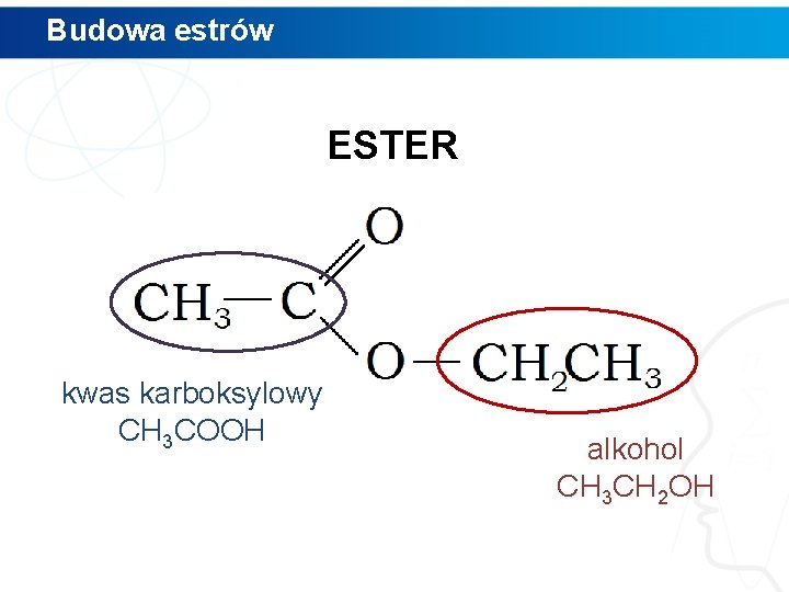 Budowa estrów ESTER kwas karboksylowy CH 3 COOH alkohol CH 3 CH 2 OH