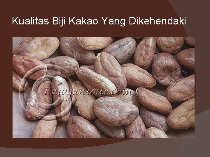 Kualitas Biji Kakao Yang Dikehendaki Kualitas Biji Kakao Yang Dikehendaki
