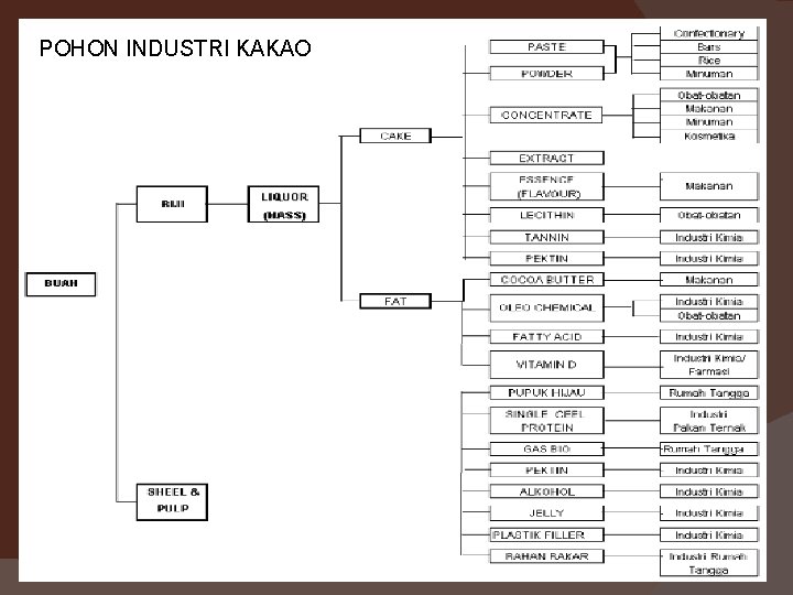 POHON INDUSTRI KAKAO POHON INDUSTRI KAKAO