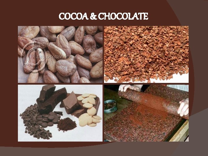 COCOA & CHOCOLATE 