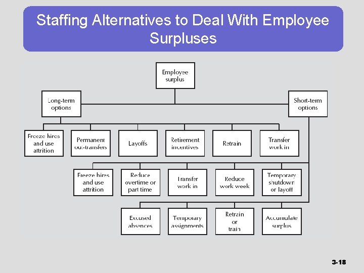 Staffing Alternatives to Deal With Employee Surpluses 3 -18 