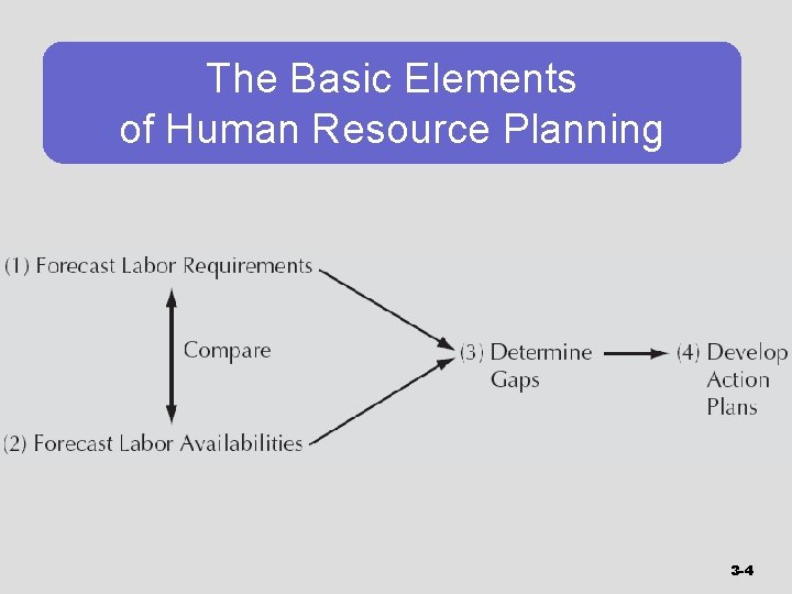 The Basic Elements of Human Resource Planning 3 -4 