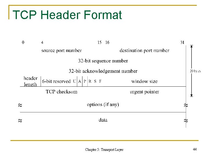 TCP Header Format Chapter 5: Transport Layer 44 